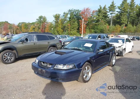 2002 Ford Mustang Gt z USA, uszkodzony, nr VIN 1FAFP42X92F156454